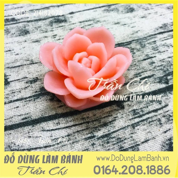 Khuôn silicone Sen đá HOA HỒNG trắng (F8349)