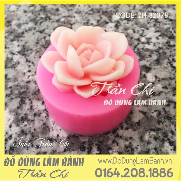 Khuôn silicone Sen đá HOA HỒNG trắng (F8349)