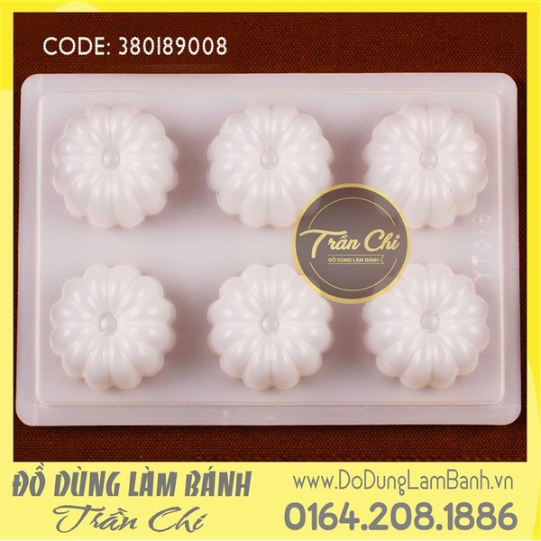 Khuôn nhựa hình hoa 6c nhỏ (YT016)