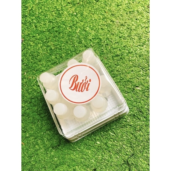 HB12 - Hương Bưởi Tự Nhiên - Hộp VUÔNG (12c x 10ml)
