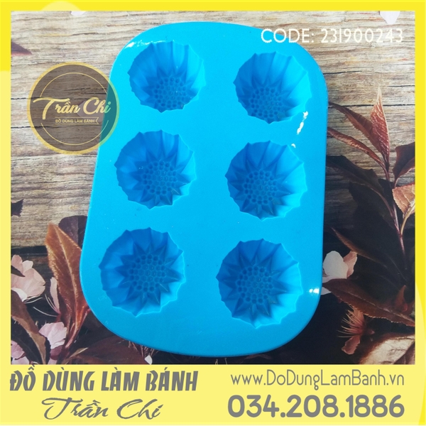 Khuôn silicone vỉ Hướng dương cánh nhọn 6c trung