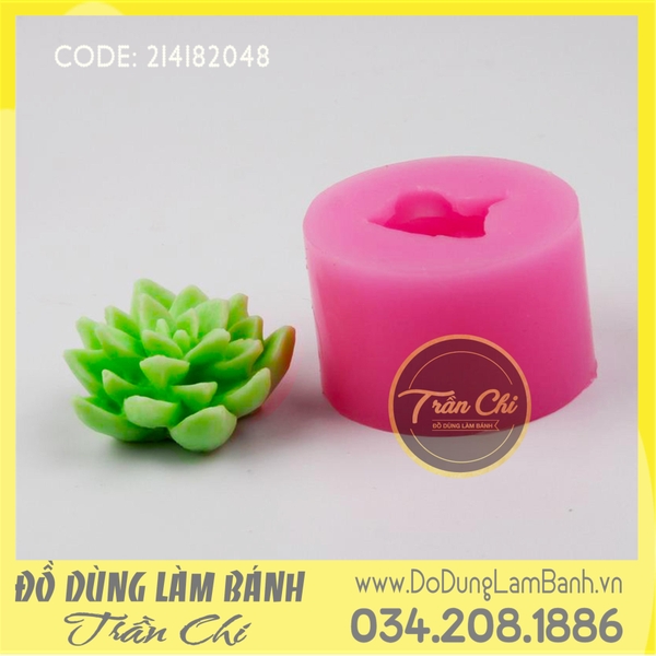 Khuôn silicone Sen đá đất nhỏ