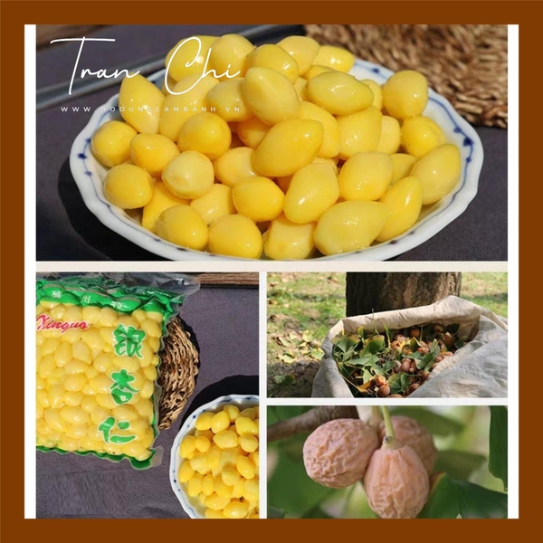 Bạch Quả tươi tách vỏ - 250GR (7/2)