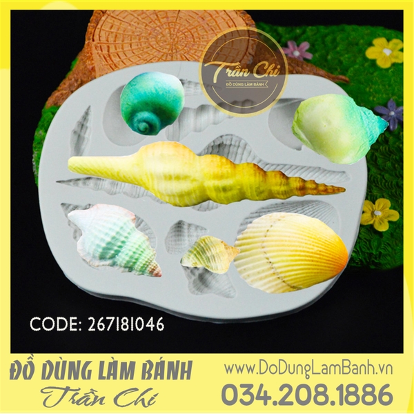 Khuôn silicone Sò ốc biển lớn