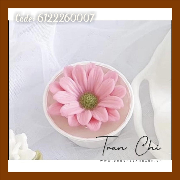 T07 - Khuôn silicone Hoa CÚC CHÂU PHI (9/9)
