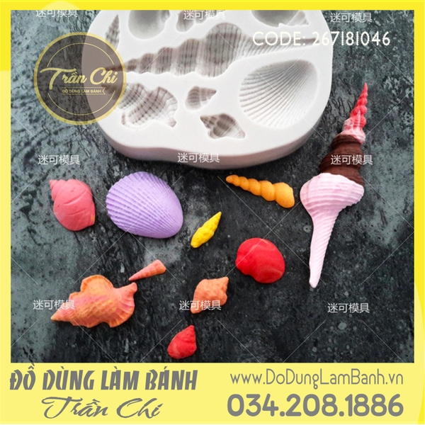 Khuôn silicone Sò ốc biển lớn
