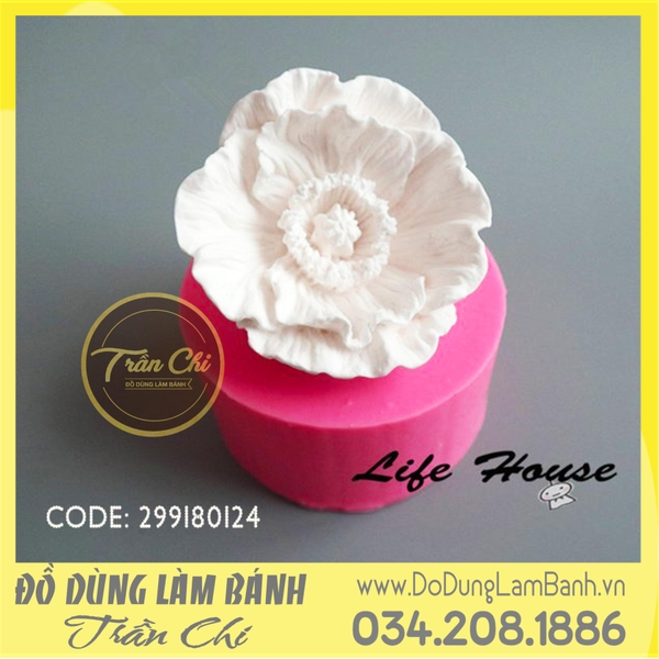 SF2940 - Khuôn silicone Hoa ANH TÚC (2/10)