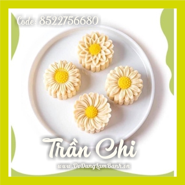 Khuôn ấn TTLX 50GR HOA khóa tay - 04 mặt CÚC HỌA MI 2022 (H50.8802)