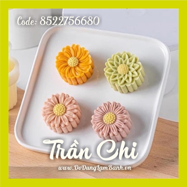 Khuôn ấn TTLX 50GR HOA khóa tay - 04 mặt CÚC HỌA MI 2022 (H50.8802)