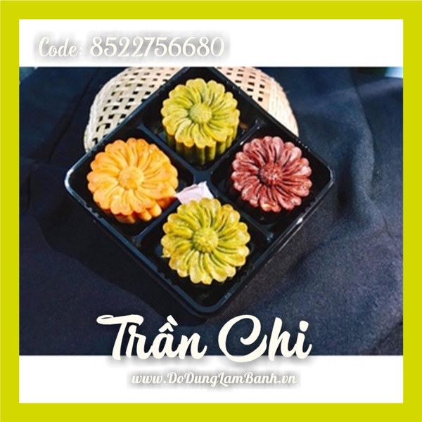 Khuôn ấn TTLX 50GR HOA khóa tay - 04 mặt CÚC HỌA MI 2022 (H50.8802)