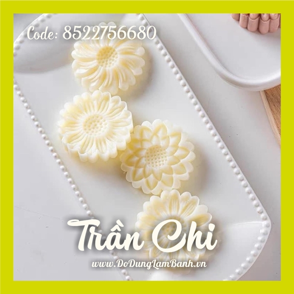 Khuôn ấn TTLX 50GR HOA khóa tay - 04 mặt CÚC HỌA MI 2022 (H50.8802)