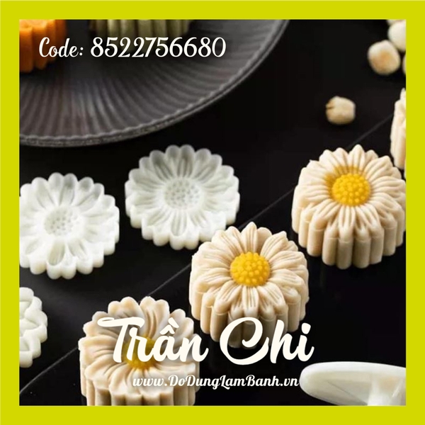 Khuôn ấn TTLX 50GR HOA khóa tay - 04 mặt CÚC HỌA MI 2022 (H50.8802)