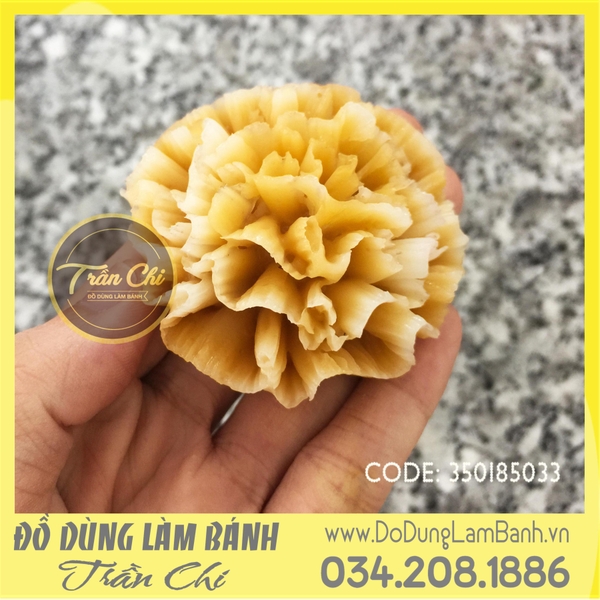 Khuôn silicone hoa CẨM CHƯỚNG KÉP (SF0344)
