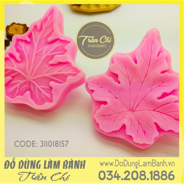 Bộ ép gân lá Phong 2c