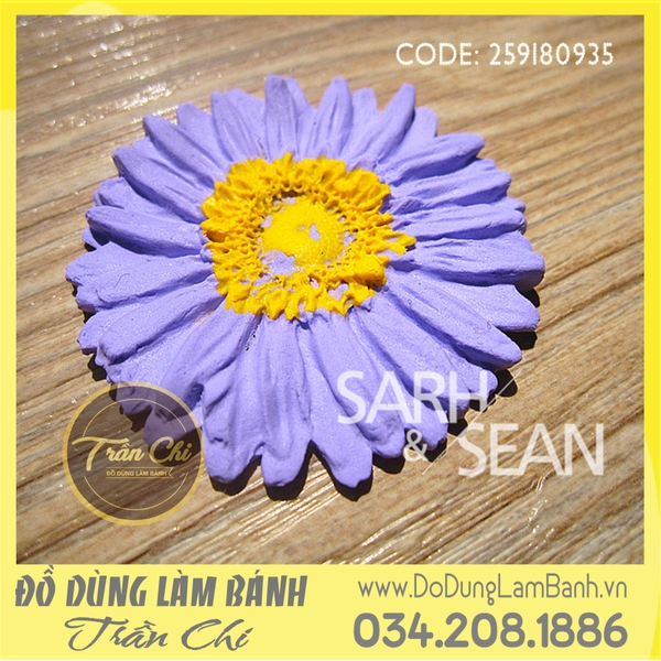 Khuôn silicone hoa Cúc đồng tiền