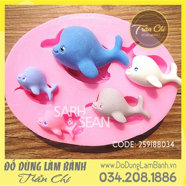 Khuôn silicone Cá heo 5c oval