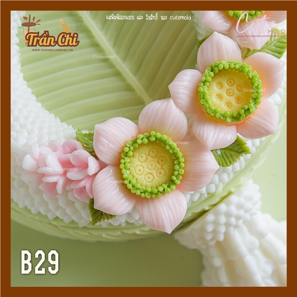 B29 - Set 4 khuôn silicone Hoa SEN 5 cánh NEW (24/9)