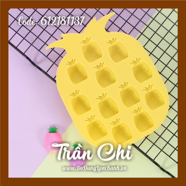 VN1850 - Khuôn silicone vỉ Trái KHÓM 12c (20/11)