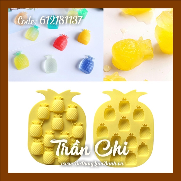 VN1850 - Khuôn silicone vỉ Trái KHÓM 12c (20/11)