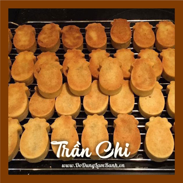 DDU10 - Khuôn ấn bánh dứa - Hình TRÁI DỨA - Lốc 10 cái (11/10)
