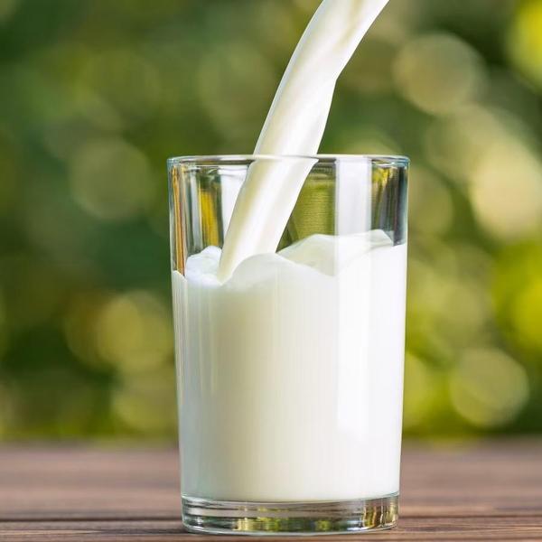 Sữa Tươi Nguyên Kem UHT Milk Full Cream CONAPROLE (2482COFM) - Hộp 1L