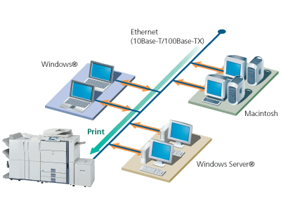 Hoạt động của hệ thống máy in ảnh Noritsu
