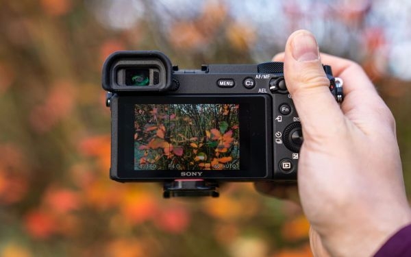 Hướng dẫn cách chụp ảnh bằng máy ảnh kỹ thuật số cơ bản