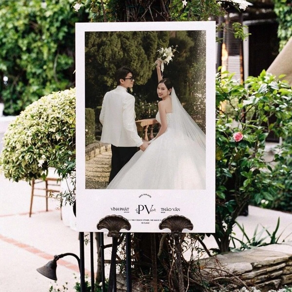 Hướng dẫn cách diệt mối ăn cây trồng hiệu quả nhất