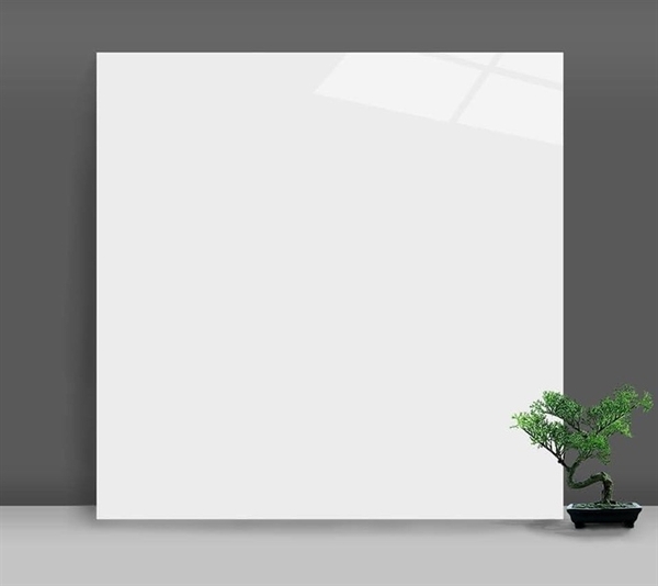 Gạch 60x60 6960 trắng trơn L2