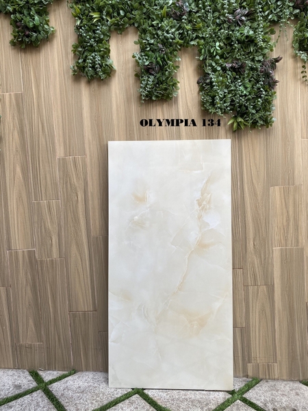 Gạch 60x120 bóng kính Ấn Độ cao cấp OLYMPIA 134