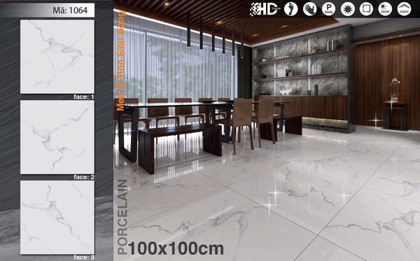 Gạch bóng kính 100x100 1064