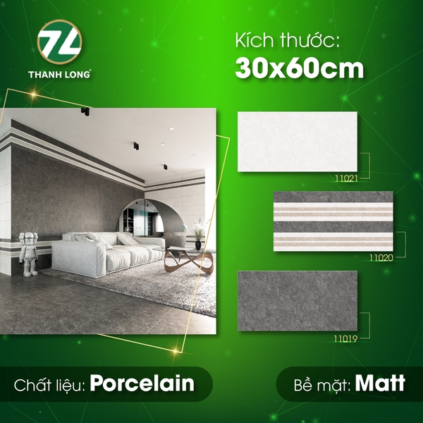 Gạch ốp tường 30x60 11201
