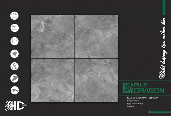 Gạch mờ nhám 60x60 11602