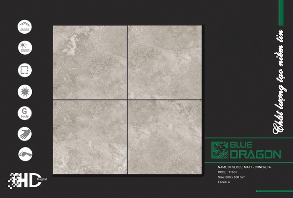 Gạch mờ nhám 60x60 11603