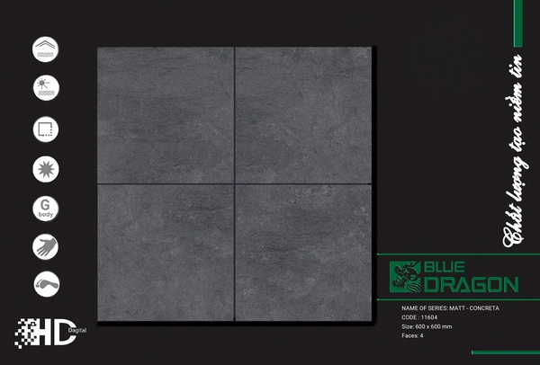 Gạch mờ nhám 60x60 11604