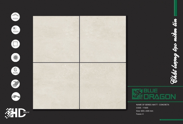Gạch mờ nhám 60x60 11605