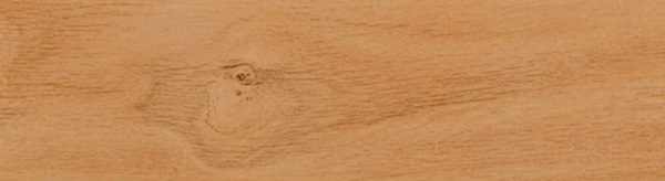 VN15605