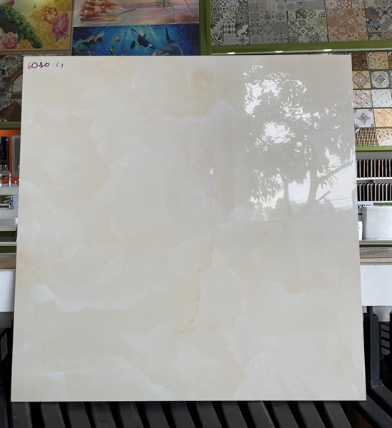 Gạch 60x60 PE6030