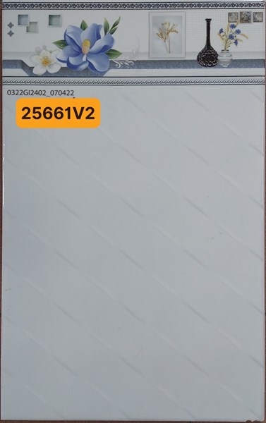 Gạch 25x40 25661V2 Viền LB