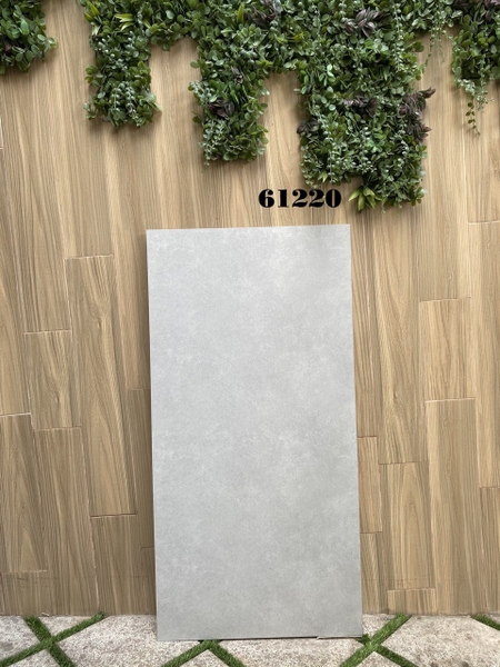 Gạch 60x120 mờ nhám Ấn Độ cao cấp 61220