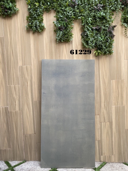 Gạch 60x120 mờ nhám Ấn Độ cao cấp 61229