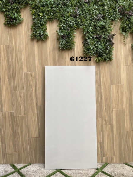 Gạch 60x120 mờ nhám Ấn Độ cao cấp 61227