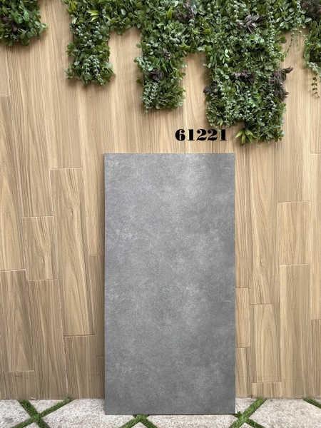 Gạch 60x120 mờ nhám Ấn Độ cao cấp 61221