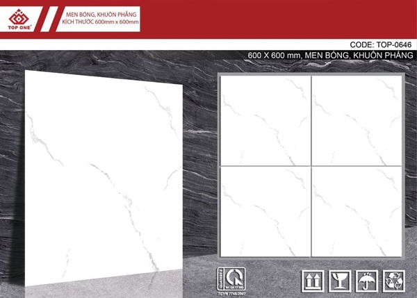 Gạch 60x60 0646 men L1