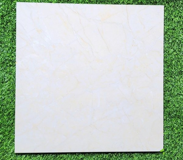 Gạch 60x60 60868 L1