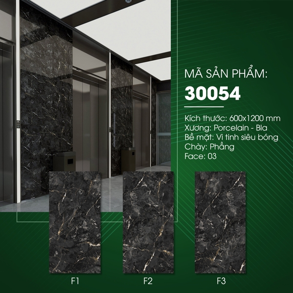 Gạch bóng kính 60x120 30054
