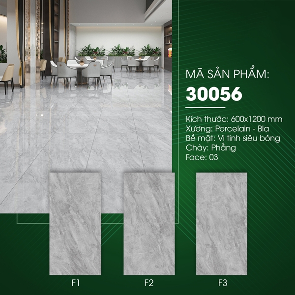 Gạch bóng kính 60x120 30056
