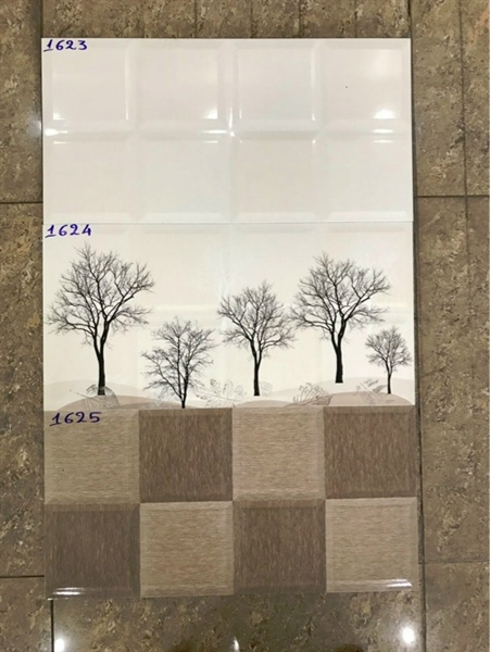 Gạch 30x60 1623 Đậm L2