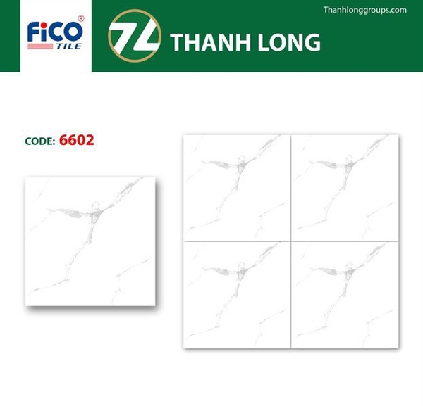 Gạch 60x60 6602 L2