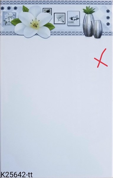 Gạch 25x40 25642 Thân LB